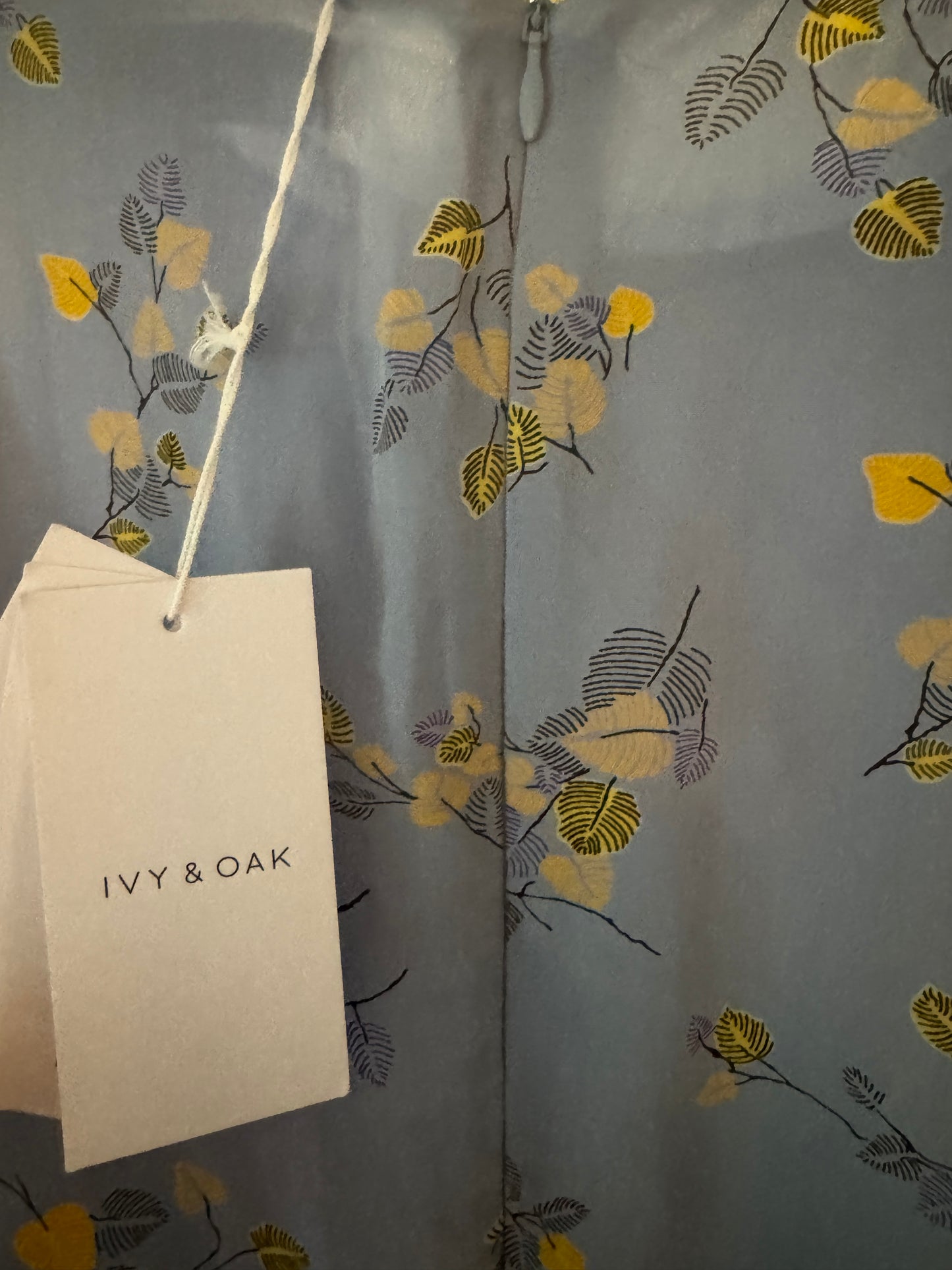 Ivy&Oak new with tags sleeveless dress